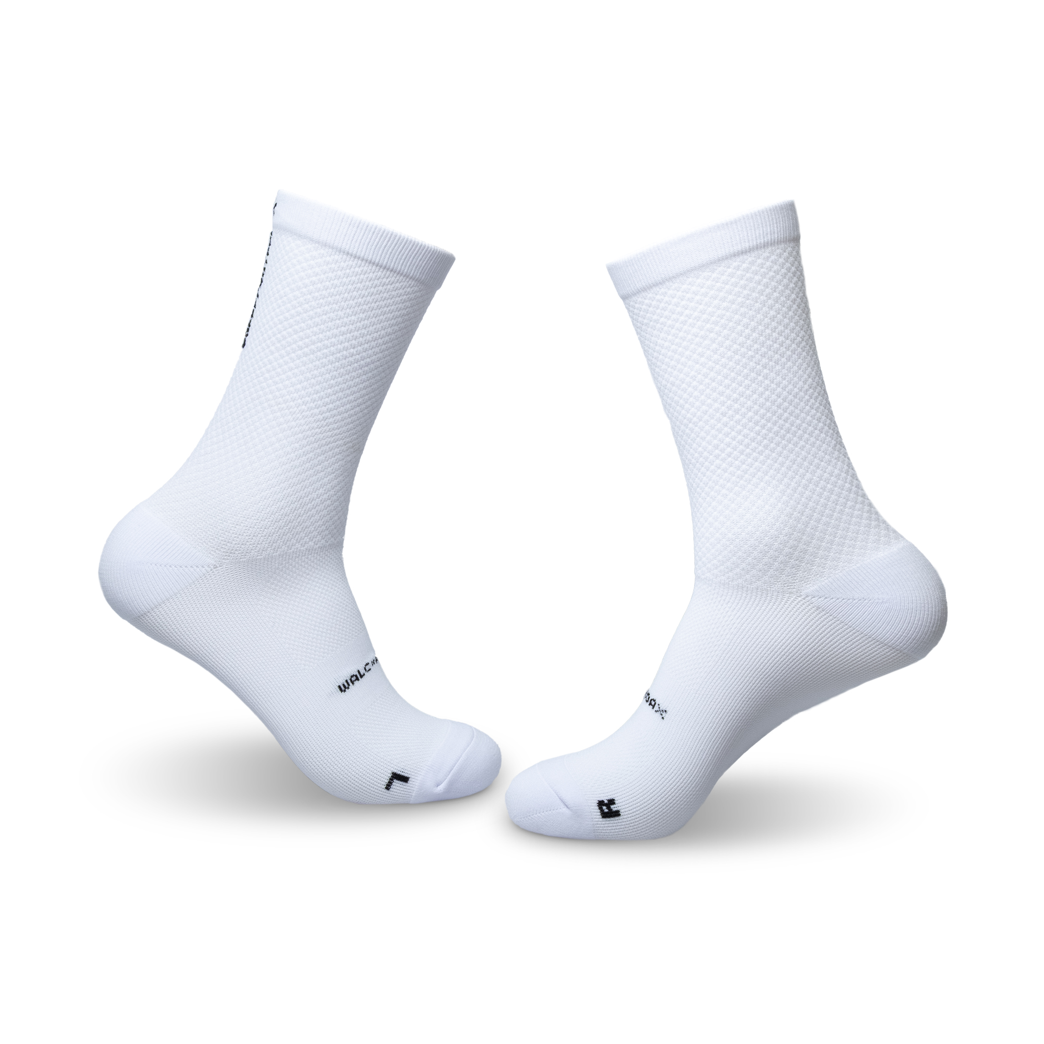 audax white 1