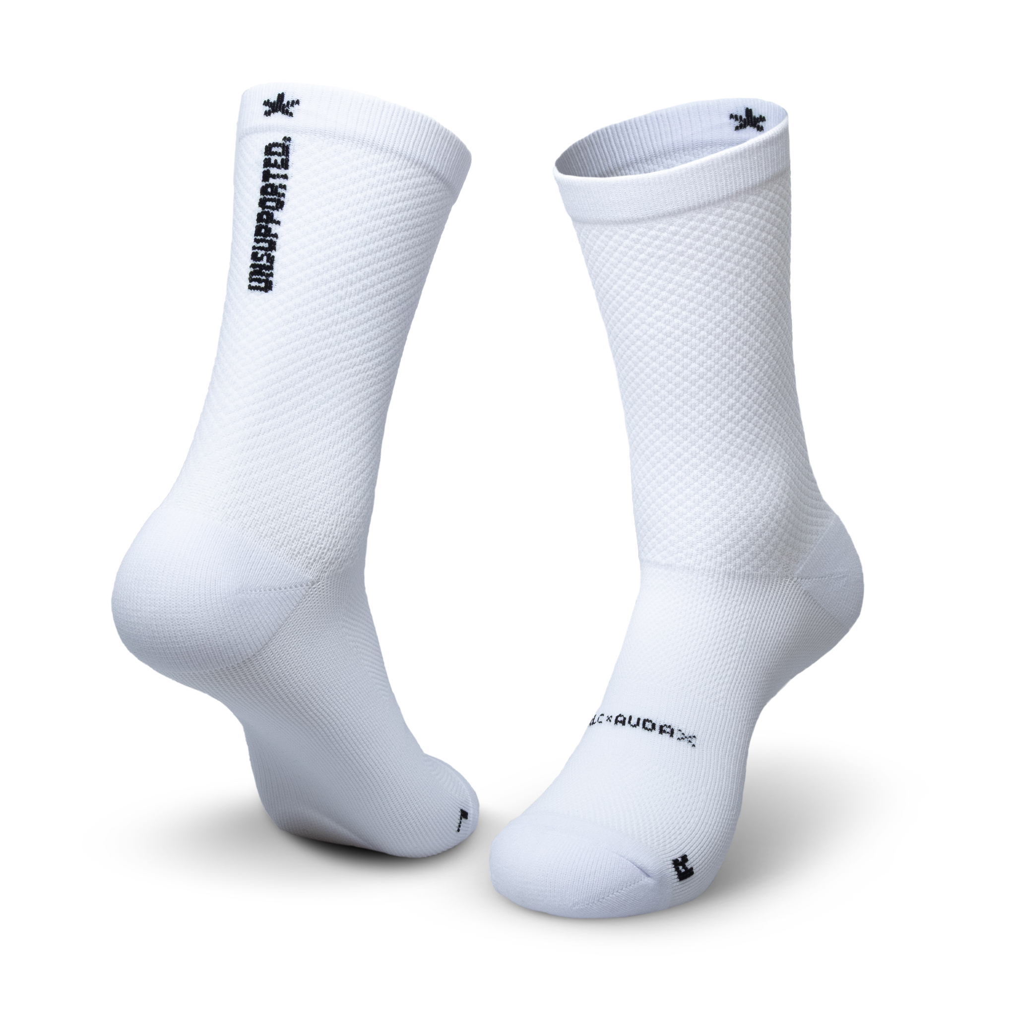 audax white 2