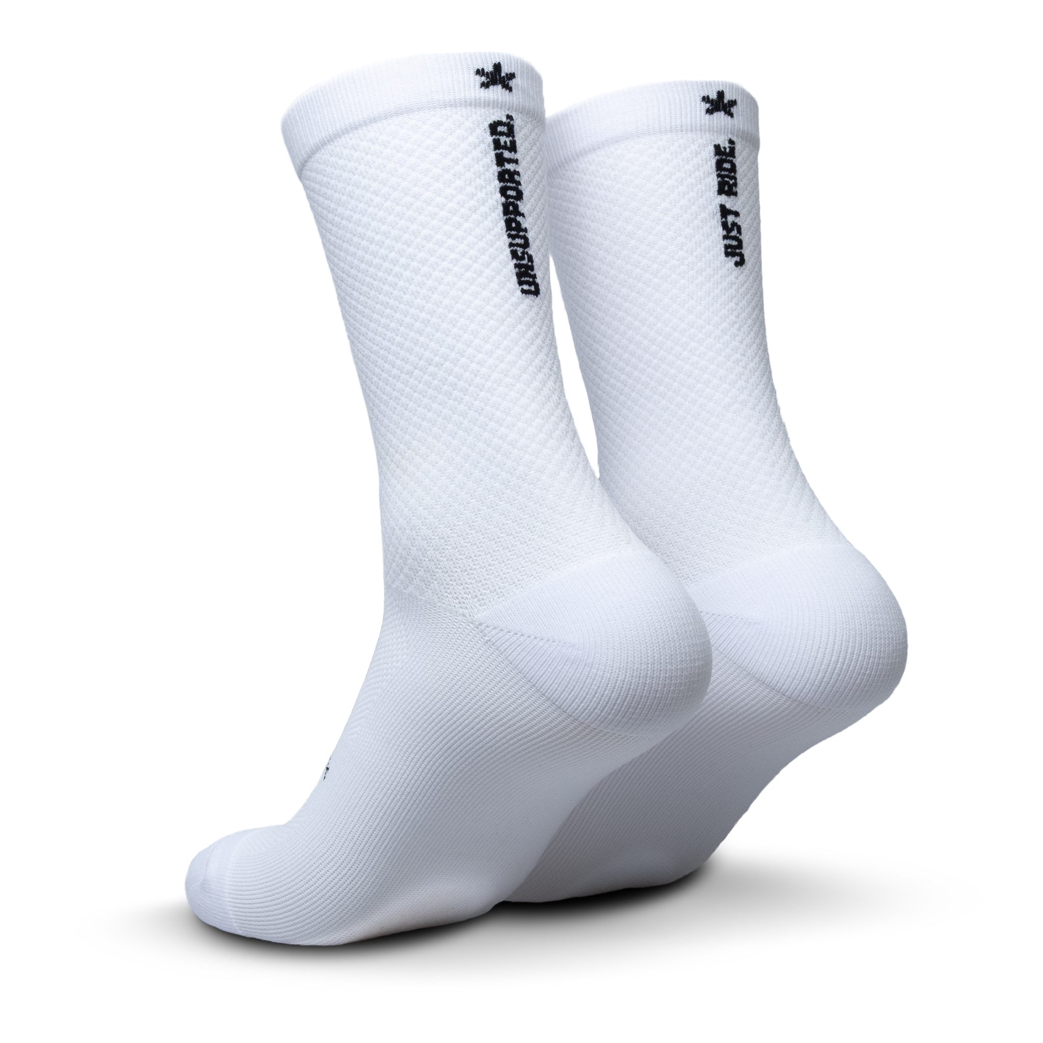 audax white 4
