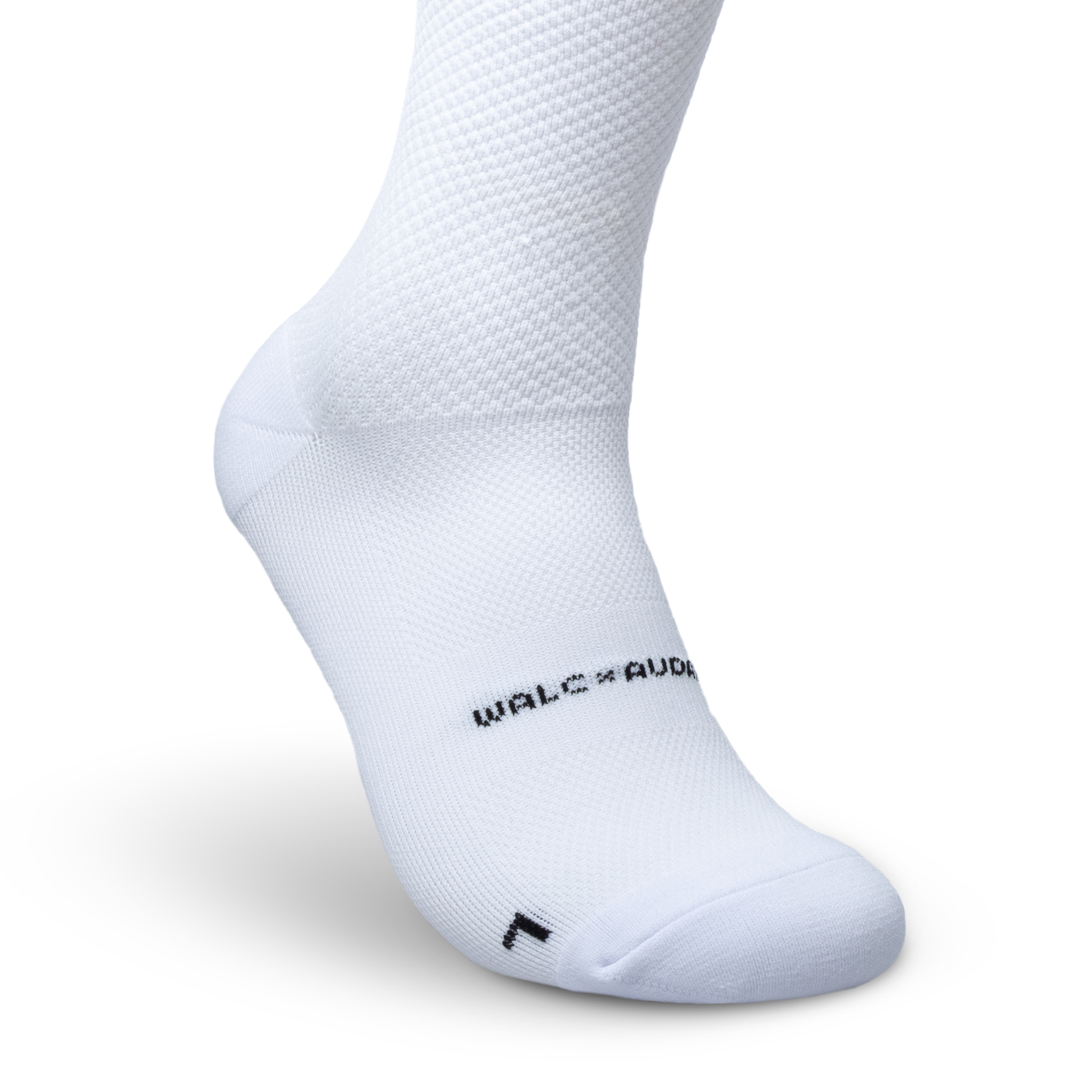 audax white 5