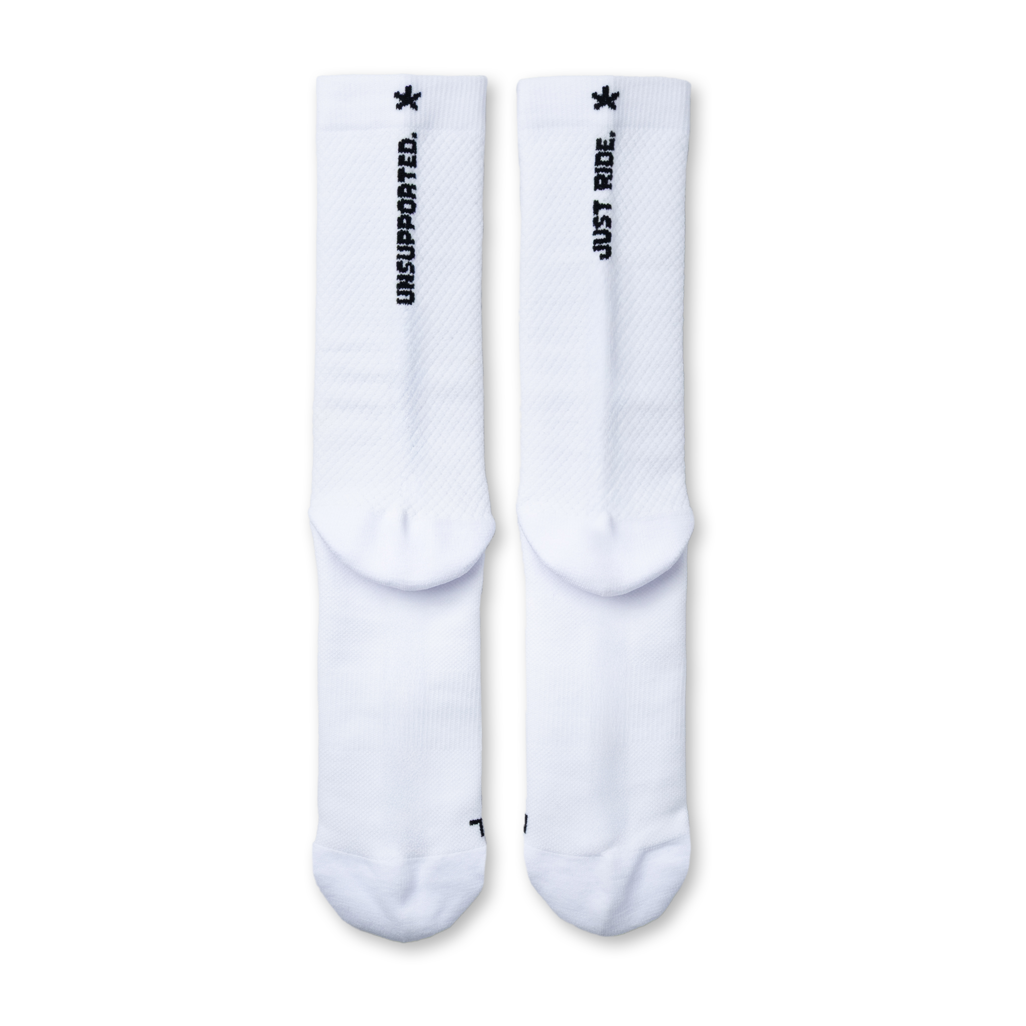 audax white 6